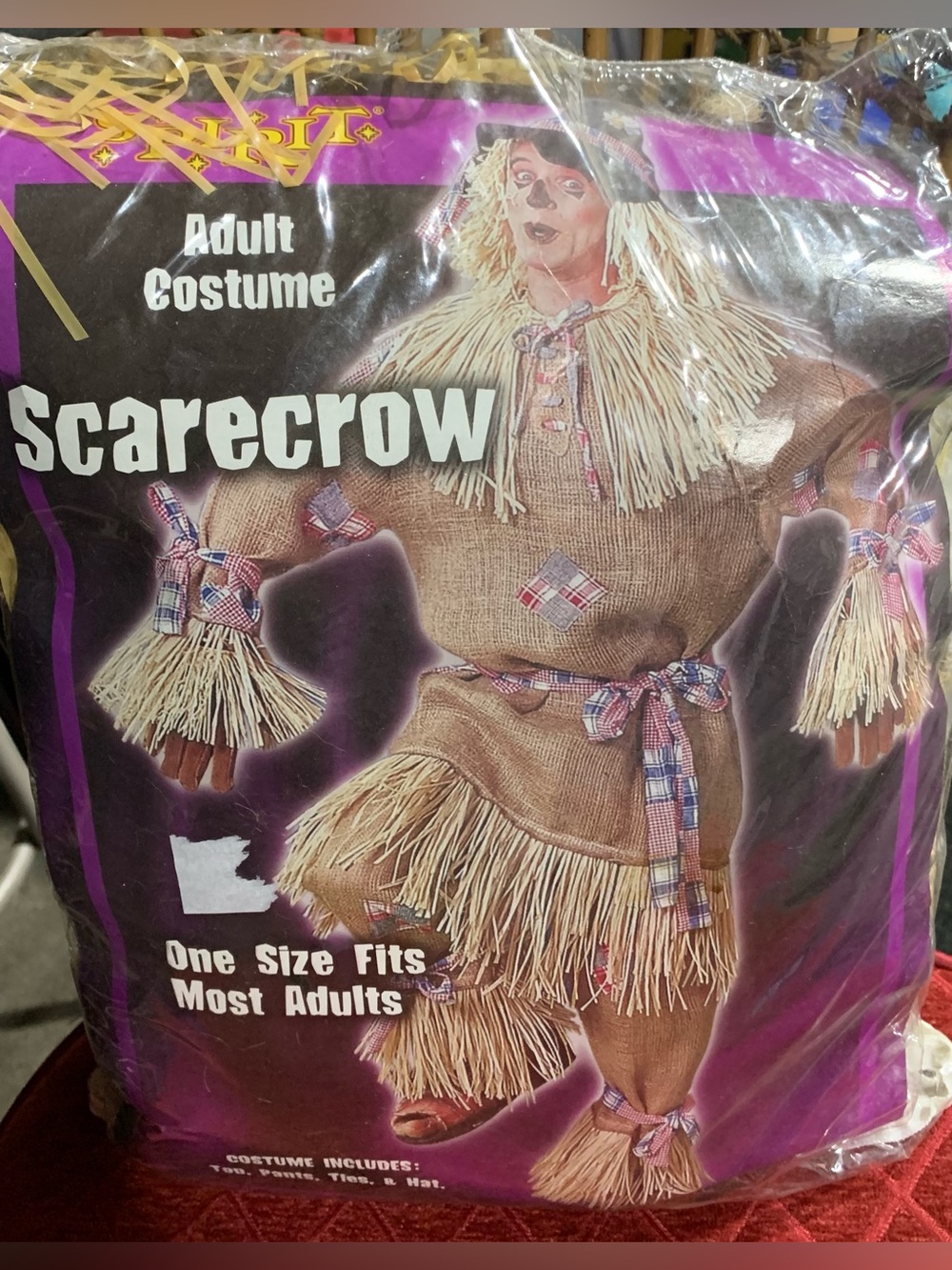 Scarecrow (Wizard of OZ) adult deluxe costume - one size fits most